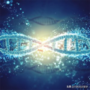 ​为什么有人会认为文科比理科简单？