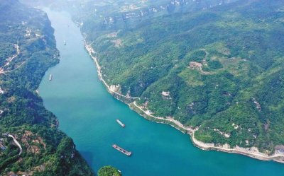 ​“长江走蛟”是怎么回事？蛇最长能活多久，500年大蛇真能化蛟？