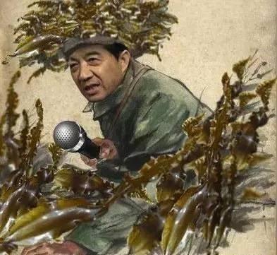 你所不知道的“局座”