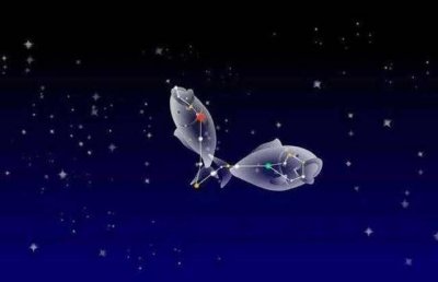 ​星座说｜双鱼座：被上帝赋予了天赋的“宠儿”