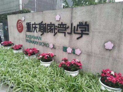 ​重庆名校系列 | 华润谢家湾小学详解