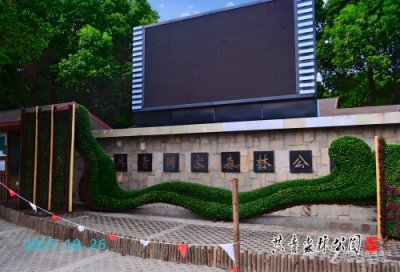 ​玩转上海（18）上海共青国家森林公园