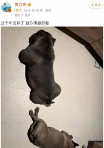 ​贾乃亮辟谣去世传闻，经纪人悼念的是老戏骨高明之子，曾参演驻站