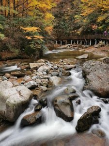 ​给孩子讲古诗25：山中——王维