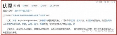 ​中医用蝙蝠的屎入药，为什么不用蝙蝠的血或者肉或者内脏？