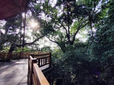 ​贵港有什么好玩的景点旅游（广西贵港十大旅游景点）