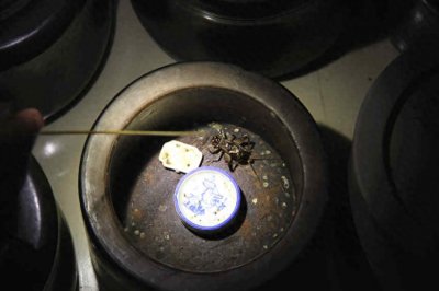 ​堪比黄金！一只蟋蟀卖出万元高价，菏泽蟋蟀“闯”出新市场