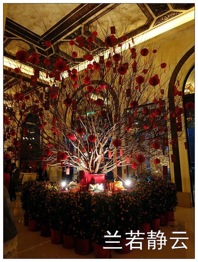 香港维多利亚港夜游攻略（静眼看香港乘坐）(5)