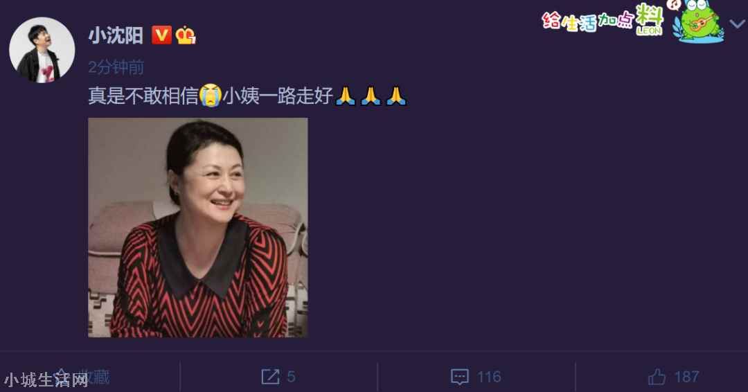 警方回应于月仙在阿拉善乘坐车辆撞上骆驼致车祸去世-图8 警方回应于月仙在阿拉善乘坐车辆撞上骆驼致车祸去世-图8