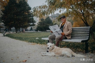 ​<忠犬八公>：跨越生死的忠诚守候