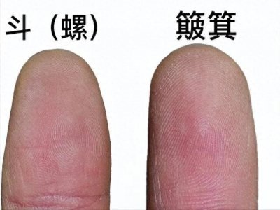 ​康熙手相十个簸箕有何寓意？中科院带你解锁斗与簸箕的千年之谜