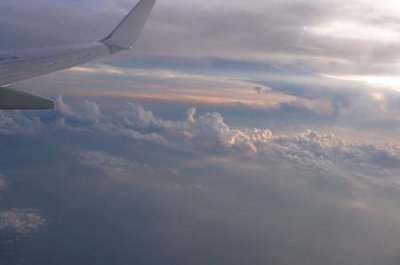 ​存活至今的非人物种竟是从十二世纪开始的