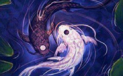 ​未知物种天使猫，长有翅膀还会飞目击者称体型长3米