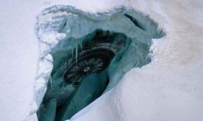 ​森蚺为什么不攻击人类