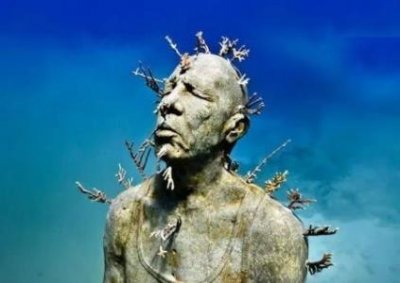 ​沈阳求助媒体离家22年的沈晓阳你找到家了吗？