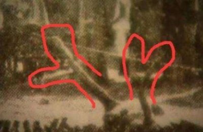 ​扑朔迷离，川西猎塔湖水怪是什么动物？