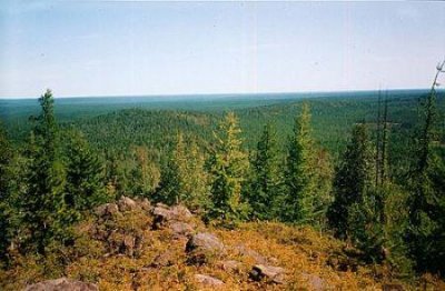 ​和顶级吃货不白吃一起了解世界美食