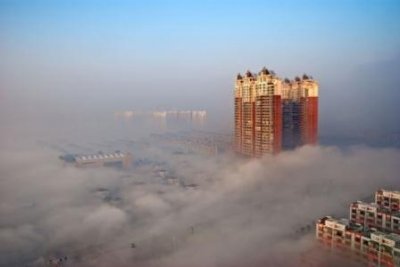 ​老鼠的祖先是哪位？