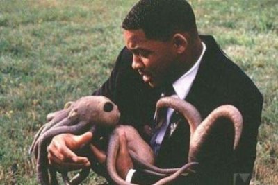 ​最后两条龙被夏朝人吃了民间传说