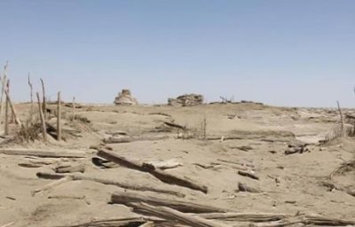 ​重庆千年神龟奇石露出江面 重庆神龟石在哪个位置