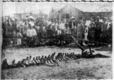 ​中国史上令人魂飞胆破的四大邪恶组织，一个比一个可怕