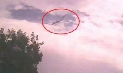 ​世界上十大著名效应有哪些？蝴蝶效应等