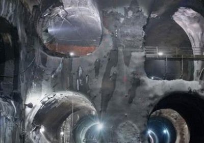 ​森蚺国内有人养吗？