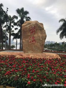 ​税务筹划的5个技巧是什么 让你的税务筹划方案成功落地