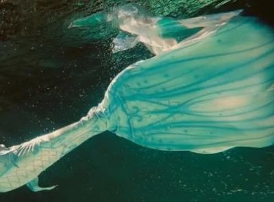 ​美人鱼原型 郑和下西洋时或曾见过