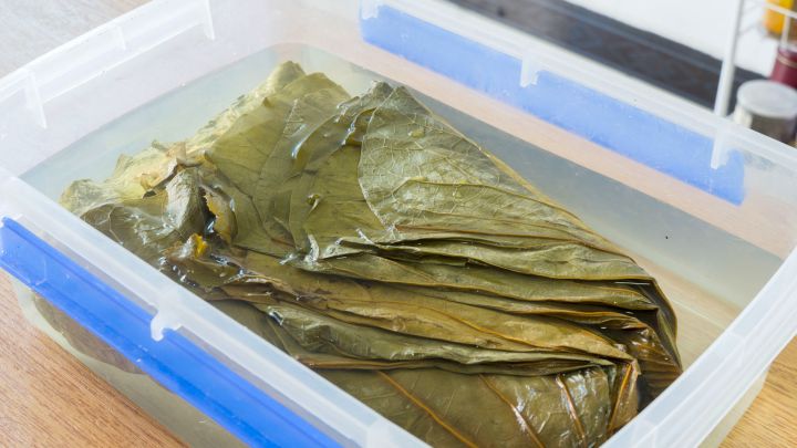 广州早茶有哪些(最受欢迎的10道广式早茶)