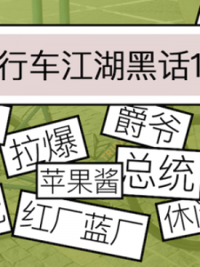 ​单飞是什么意思