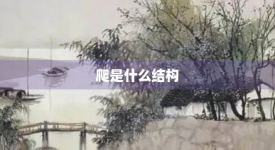 ​爬是什么结构(爬是什么结构的字一年级)