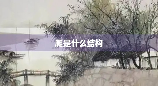 爬是什么结构 爬是什么结构