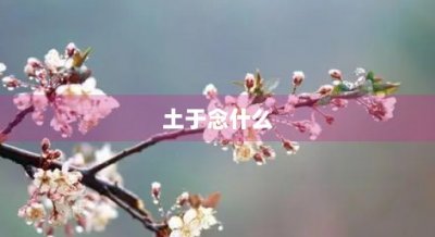 ​土于念什么