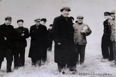 ​衡水百年衡价格(衡水衡小白价格)