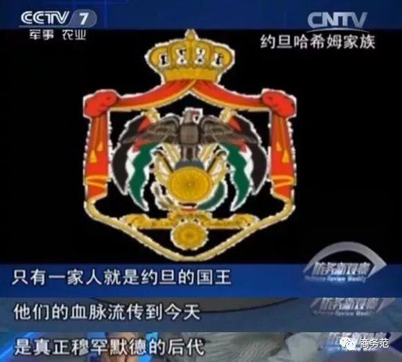 约旦50岁冻龄王后风情万种(最美约旦王后脸僵了)(17)