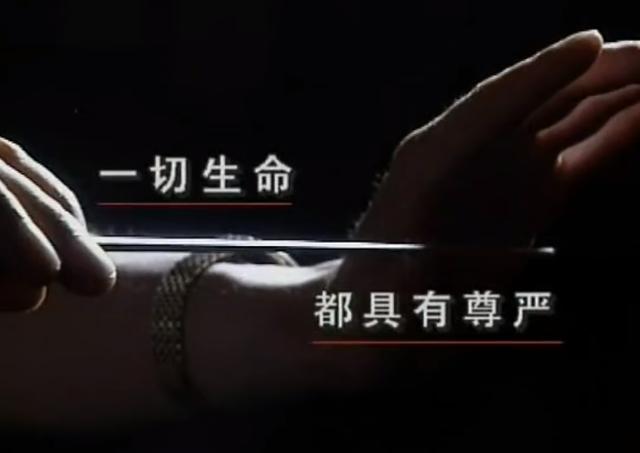 音乐指挥家胡一舟(天才指挥家胡一舟)(5)