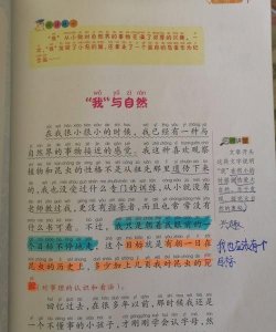 ​昆虫记好词好句摘抄，昆虫记每章节好词好句好段摘抄？