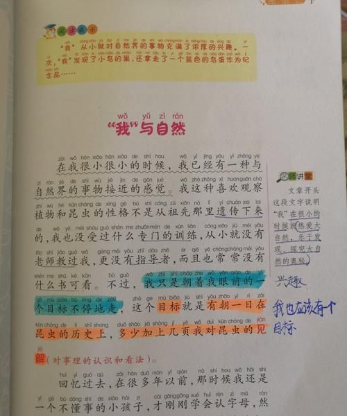 昆虫记每章节好词好句好段摘抄