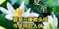 夏至三庚入伏是什么意思啊