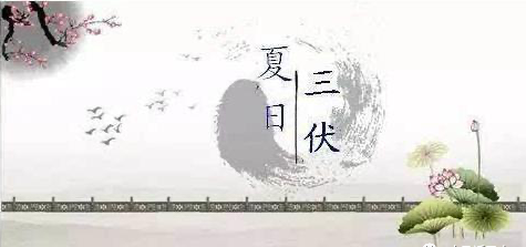 夏至三庚是什么意思 夏至三庚入伏怎么推算