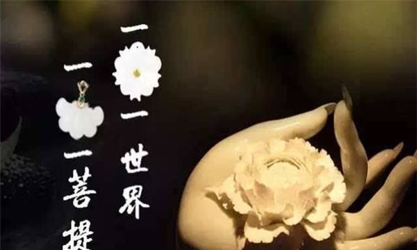 一花一世界 一叶一菩提,一花一世界一叶一菩提爱情寓意是什么意思图4
