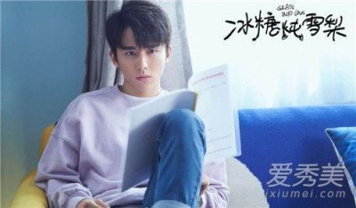 ​冰糖炖雪梨演员表（冰糖炖雪梨演员表全部人照片）