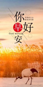 ​早安心语