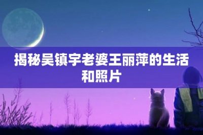 ​揭秘吴镇宇老婆王丽萍的生活和照片