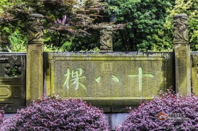 ​龙井茶名称的来历？