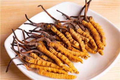 ​虫草的功效与作用及营养（虫草的作用与功效）