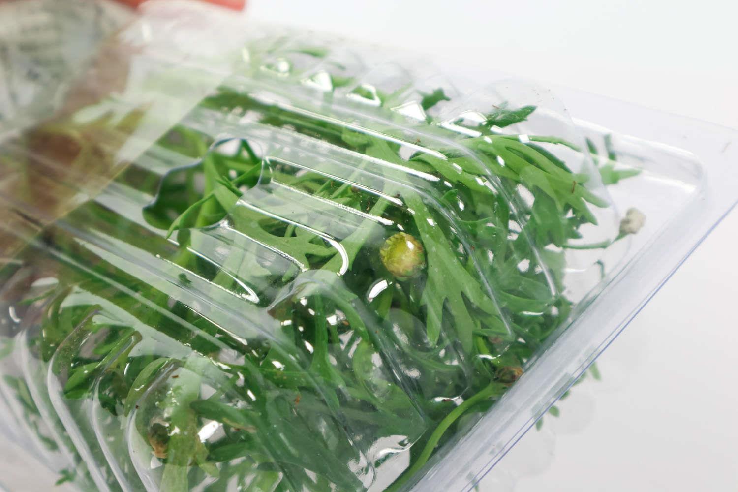 玛格丽特 玛格丽特