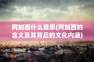 ​阿加西什么意思(阿加西的含义及其背后的文化内涵)