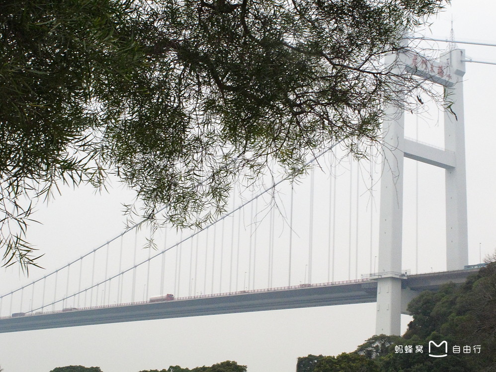 悬索桥和斜拉桥的区别（图文讲解二者的区别）